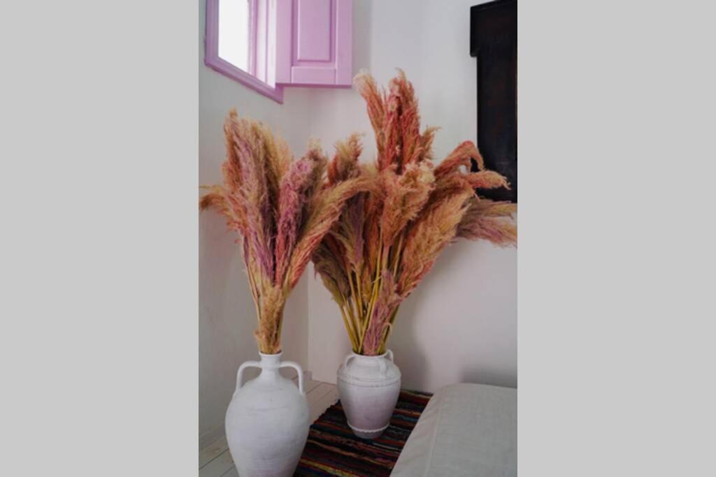 The Summer Pink House Lacónia Exterior foto